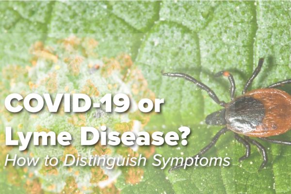 What Are The Biggest Risk Factors For Persistent Symptoms In Lyme ...